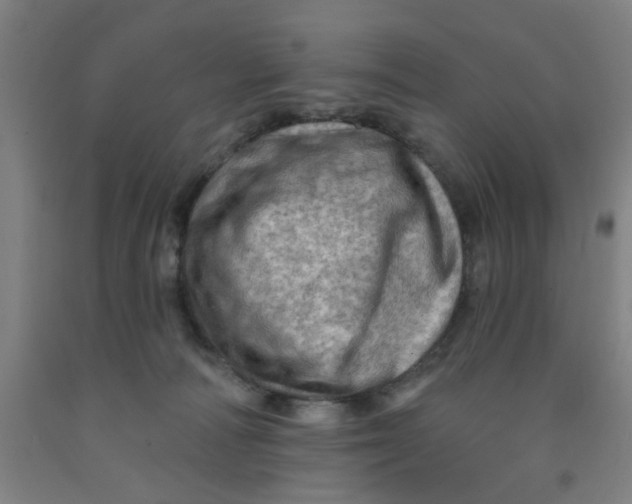 X0000091950226200709271332