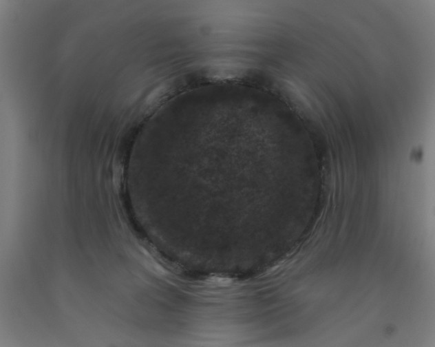 X0000091950227200709271332