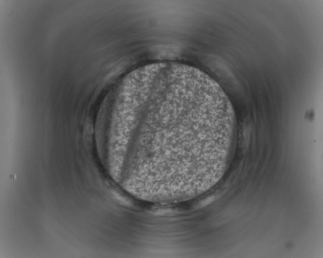 X0000091950228200709271332