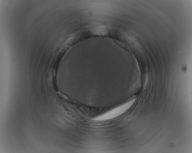 X0000091950229200709271332