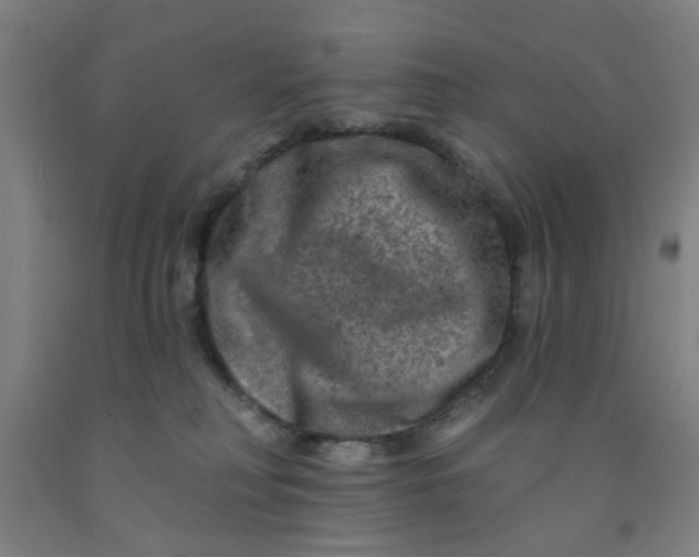 X0000091950230200709271332