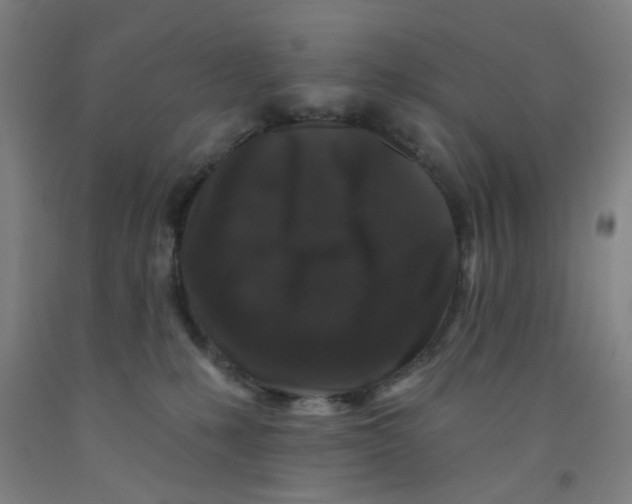 X0000091950231200709271332