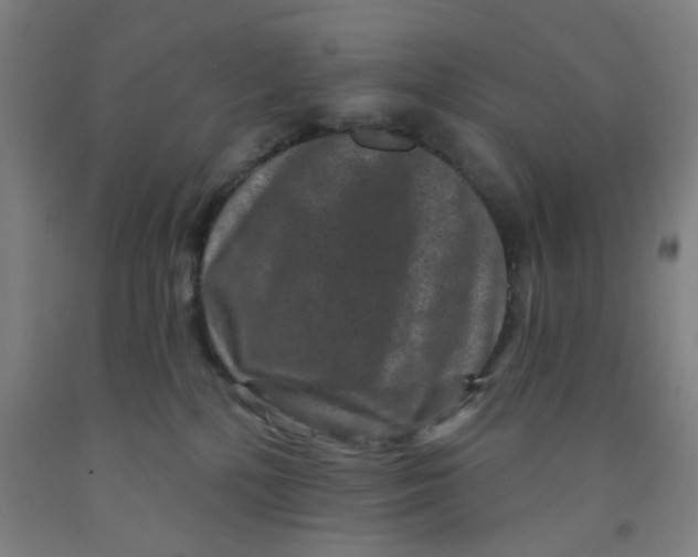 X0000091950232200709271332