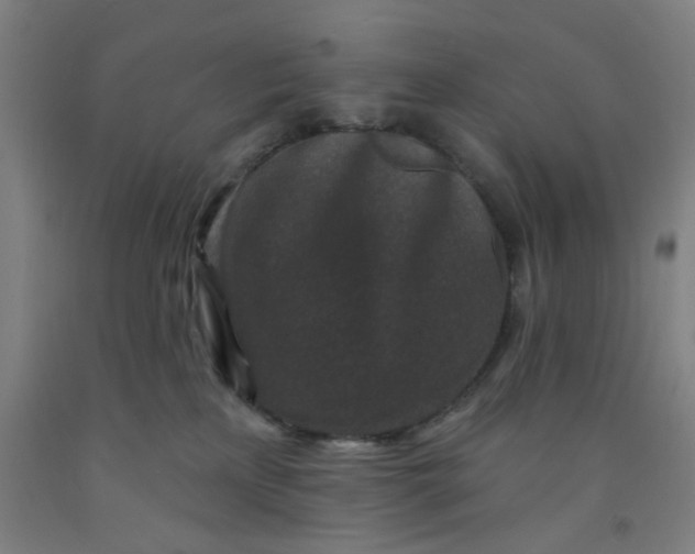 X0000091950233200709271332