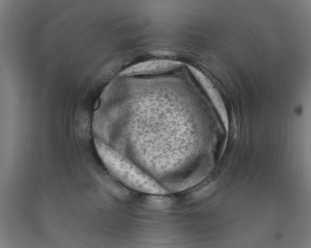 X0000091950234200709271332