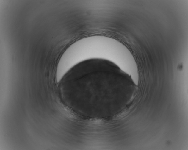 X0000091950235200709271332