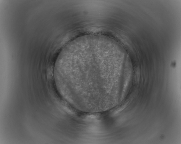 X0000091950236200709271332