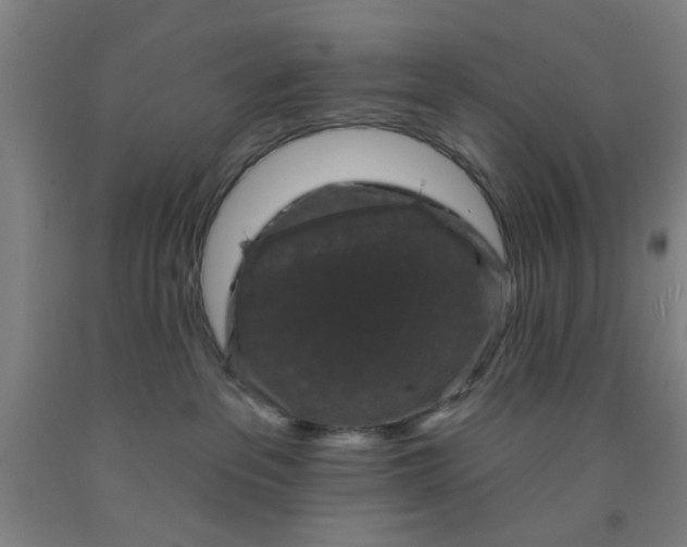 X0000091950237200709271332