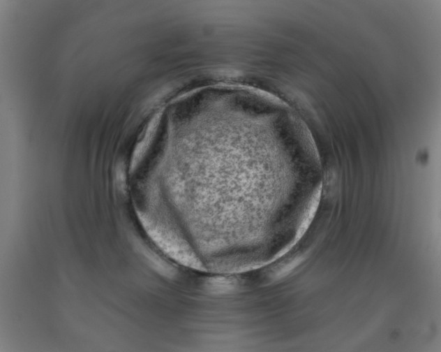 X0000091950238200709271332