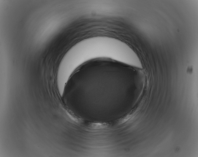 X0000091950239200709271332