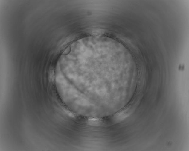 X0000091950240200709271332