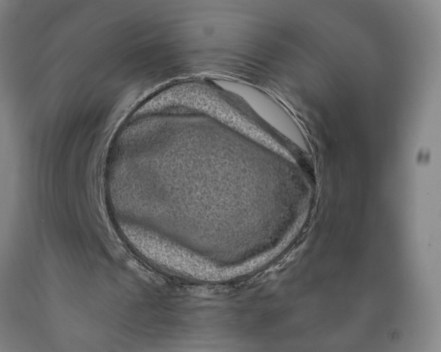 X0000091950241200709271331