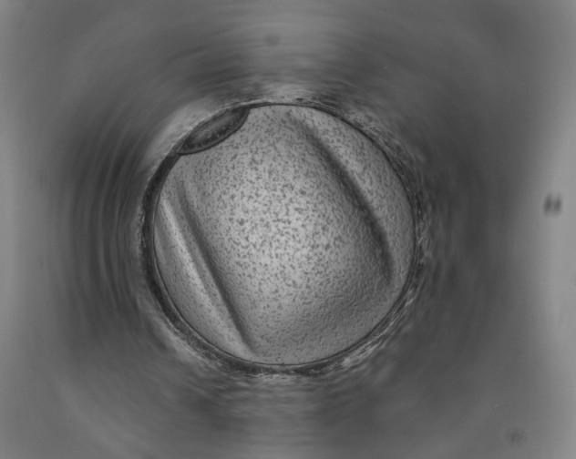 X0000091950242200709271331