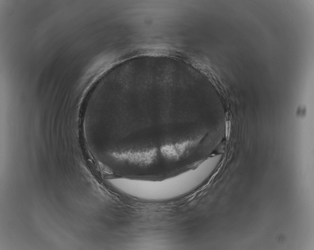 X0000091950243200709271331