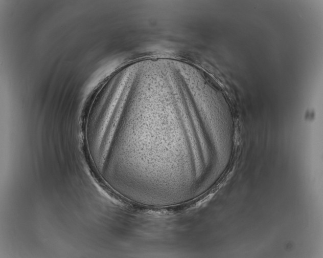 X0000091950245200709271331