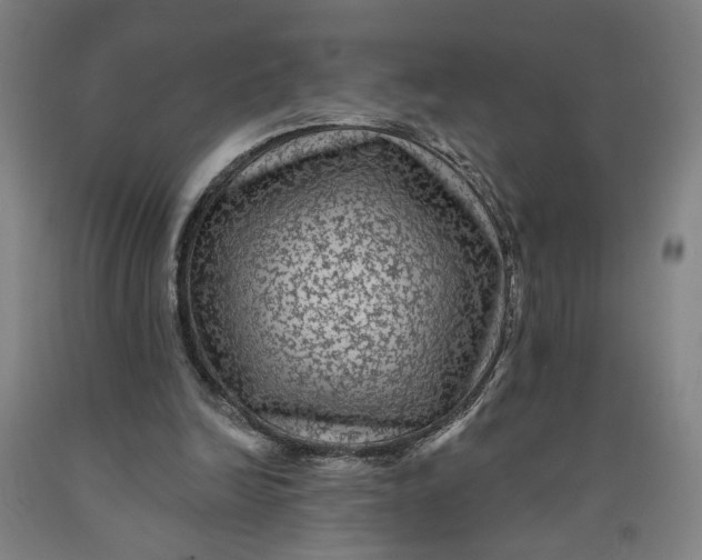 X0000091950246200709271331