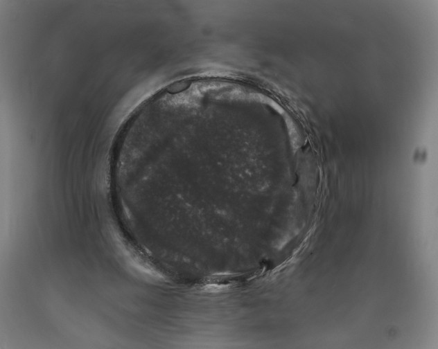 X0000091950247200709271331