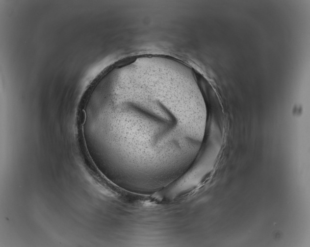 X0000091950248200709271331