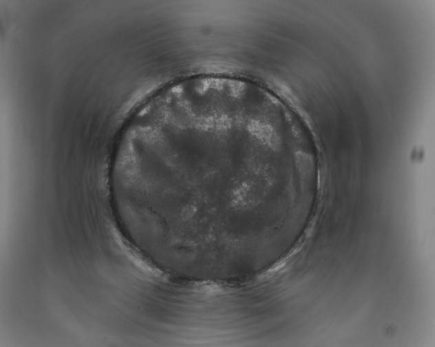 X0000091950249200709271331