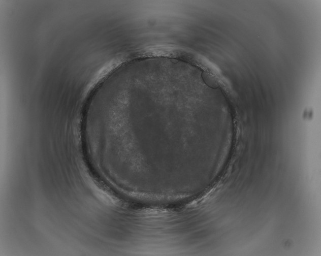 X0000091950250200709271331