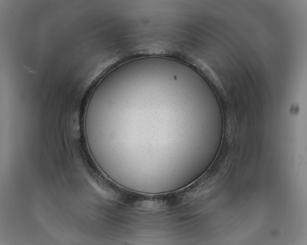 X0000091950251200709271331