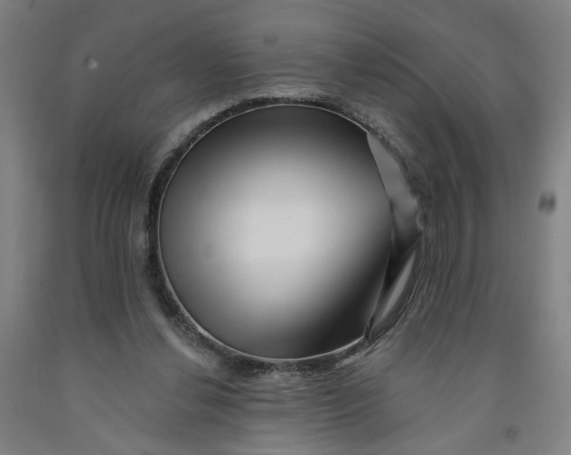 X0000091950252200709271331