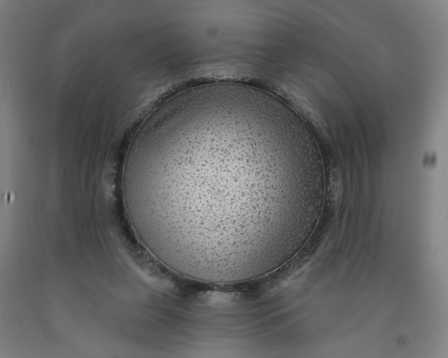 X0000091950255200709271331