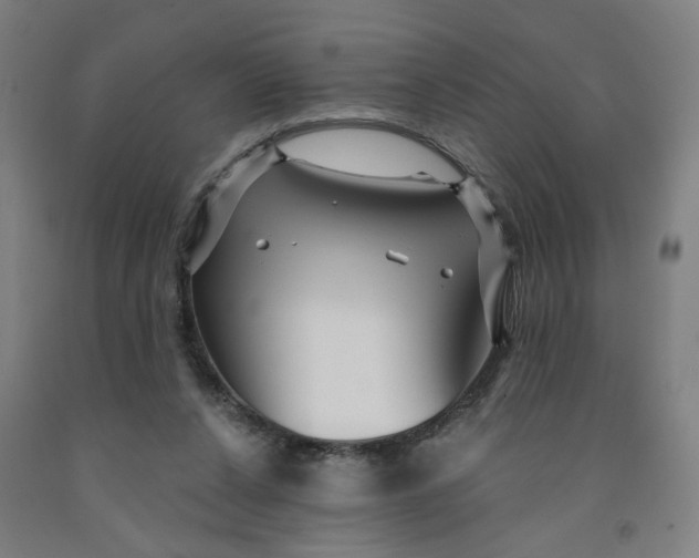 X0000091950256200709271331