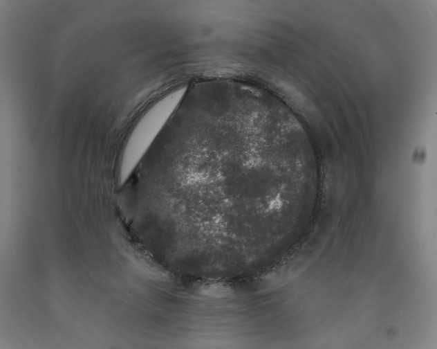 X0000091950258200709271331