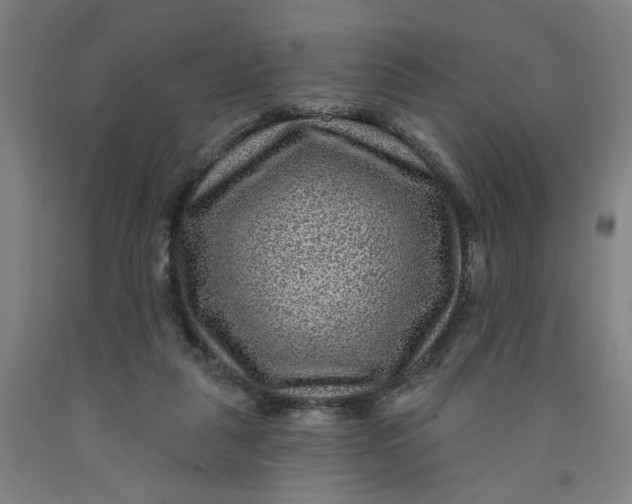 X0000091950259200709271331