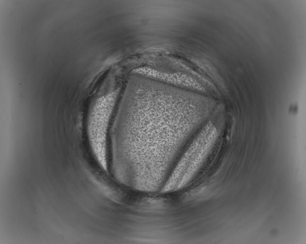 X0000091950260200709271332