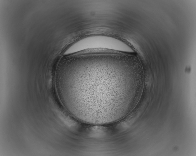 X0000091950261200709271332