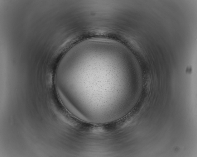 X0000091950262200709271332