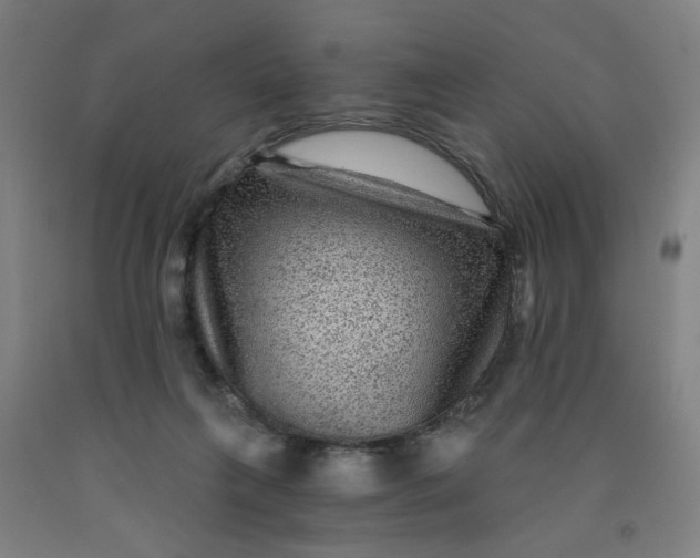 X0000091950263200709271332