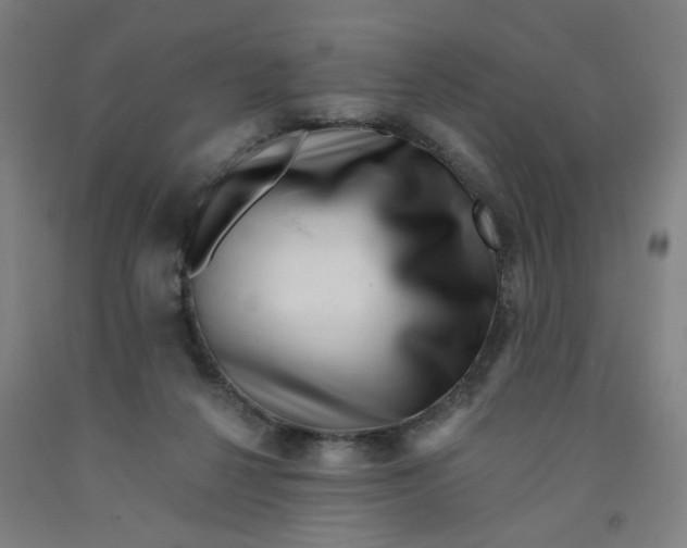 X0000091950264200709271332