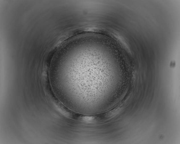 X0000091950265200709271332