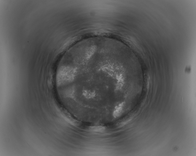 X0000091950266200709271332