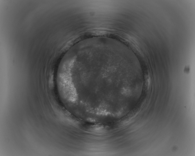 X0000091950267200709271332