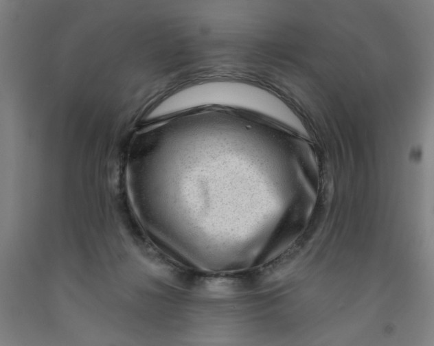 X0000091950268200709271332