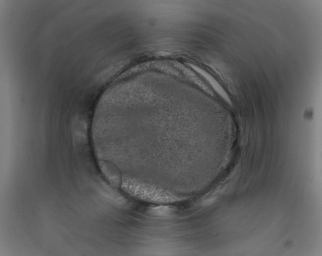 X0000091950269200709271332