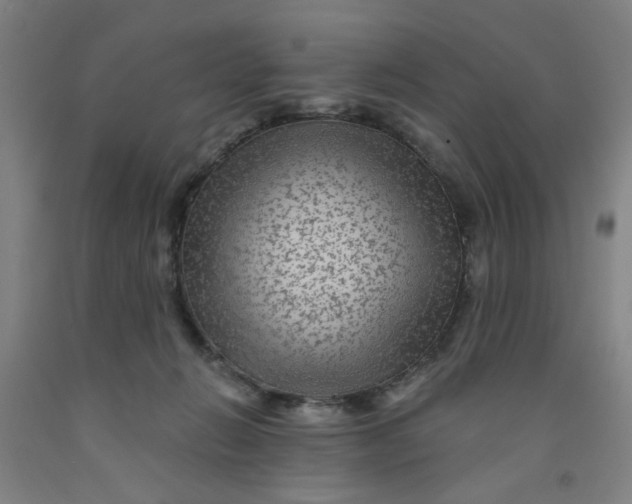 X0000091950270200709271332