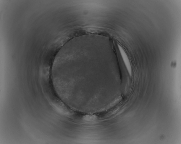 X0000091950271200709271332