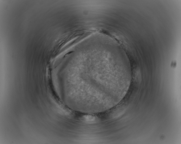 X0000091950272200709271332