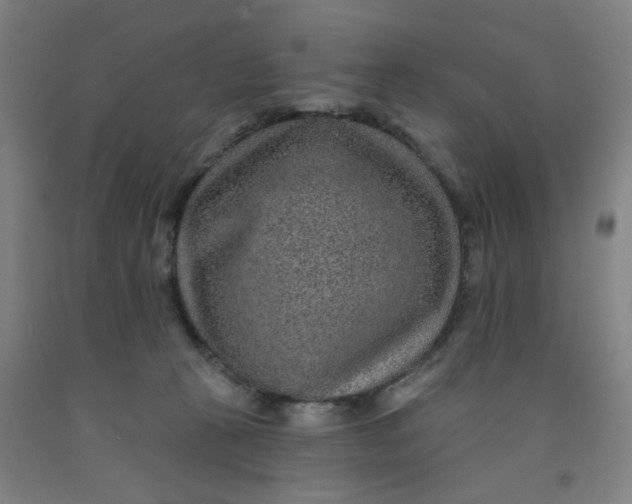 X0000091950273200709271332