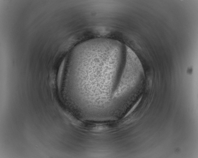 X0000091950274200709271332