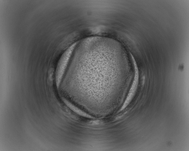 X0000091950275200709271332