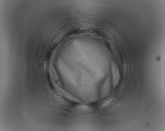 X0000091950276200709271332