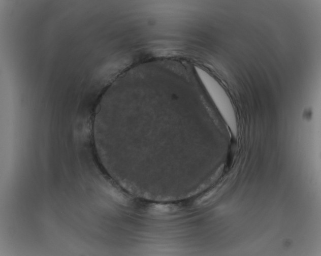 X0000091950277200709271332