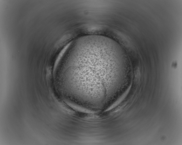 X0000091950278200709271332