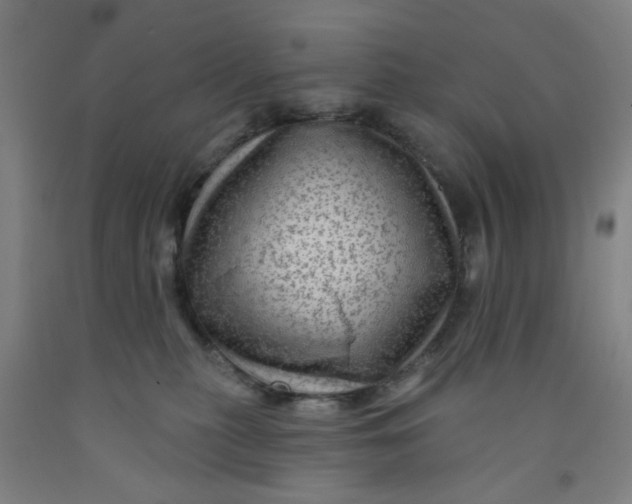 X0000091950279200709271332